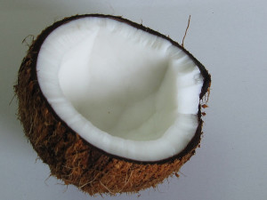 The coconut – one of nature’s best fruits