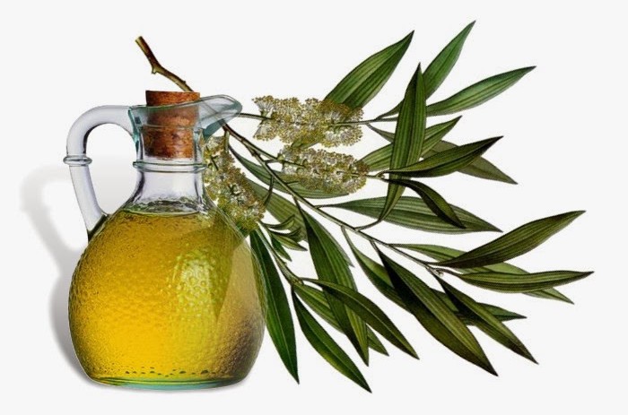 tea-tree-oil