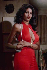 Pam Grier in her prime years