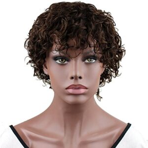Dream Beauty Human Hair Wigs for Black Women Short Fashion Curly Wigs African American Wigs